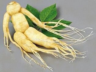 ρίζα ginseng για ισχύ