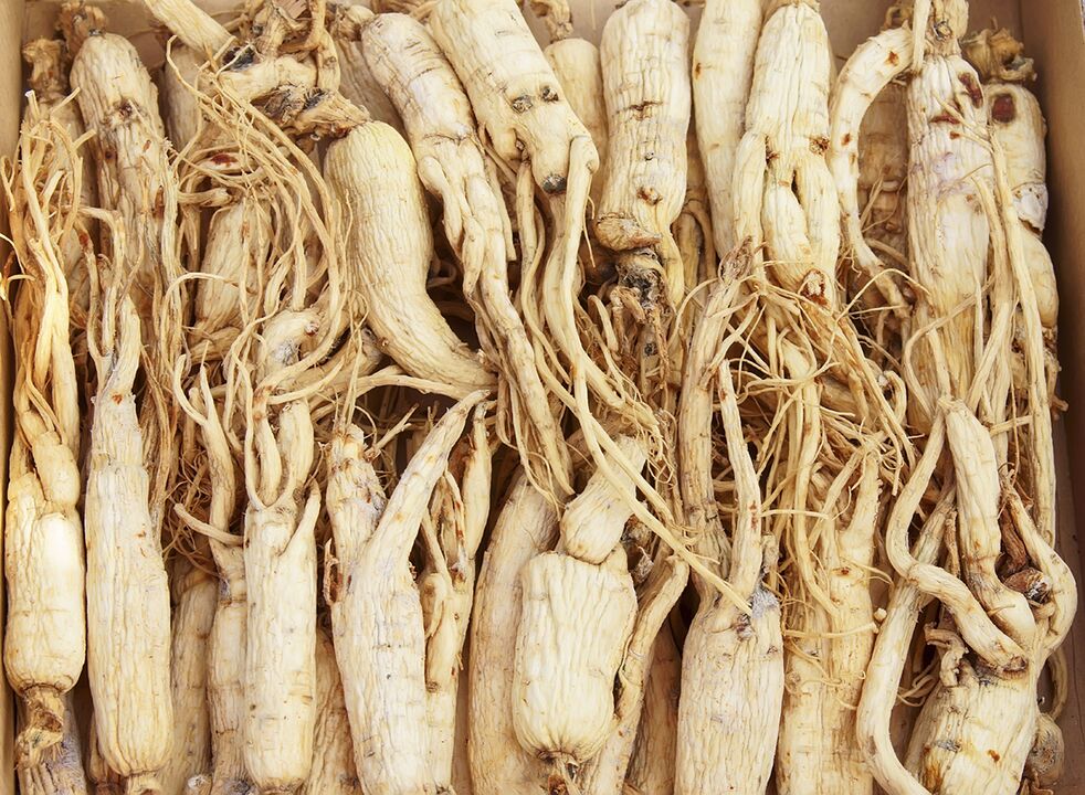 Με βάση τη ρίζα ginseng, μπορείτε να ετοιμάσετε ένα αφέψημα που ενισχύει τη δράση